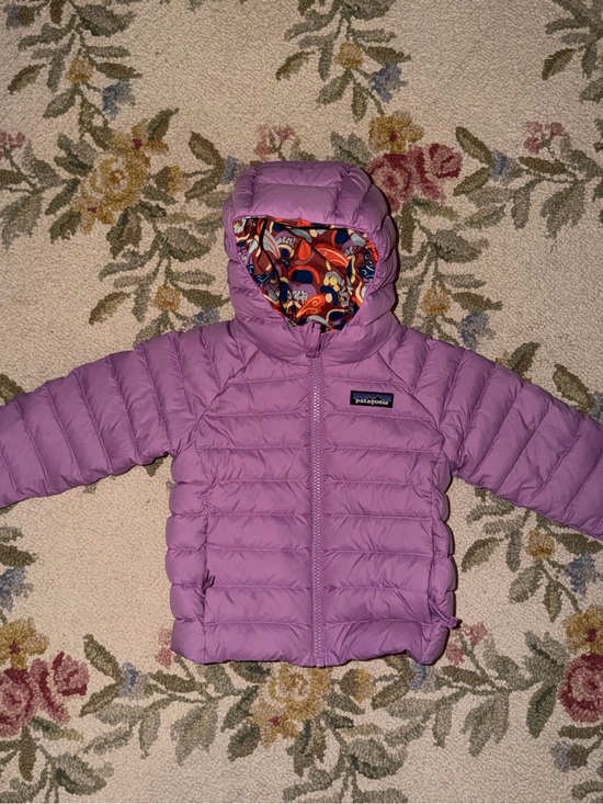 Patagonia Other - Patagonia reversible down jacket with hood